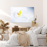 Paul Sinus Wandbild 120x80cm Weiße Orchidee Blume Blüte Gelb Hell