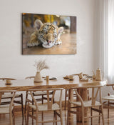 Paul Sinus Wandbild 120x80cm Kleiner Tiger Babytiger Katze Katzenbaby Flauschig