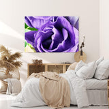 Paul Sinus Wandbild 120x80cm Violette Blume Blüte Nahaufnahme Kunstvoll Dekorativ