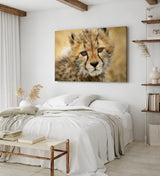 Paul Sinus Wandbild 120x80cm Kleiner Gepard Babygepard Katze Babykatze Tierfotografie