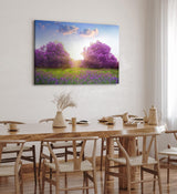 Paul Sinus Wandbild 120x80cm Baumblüte Frühling Violett Sonnenuntergang Wiese Blumen