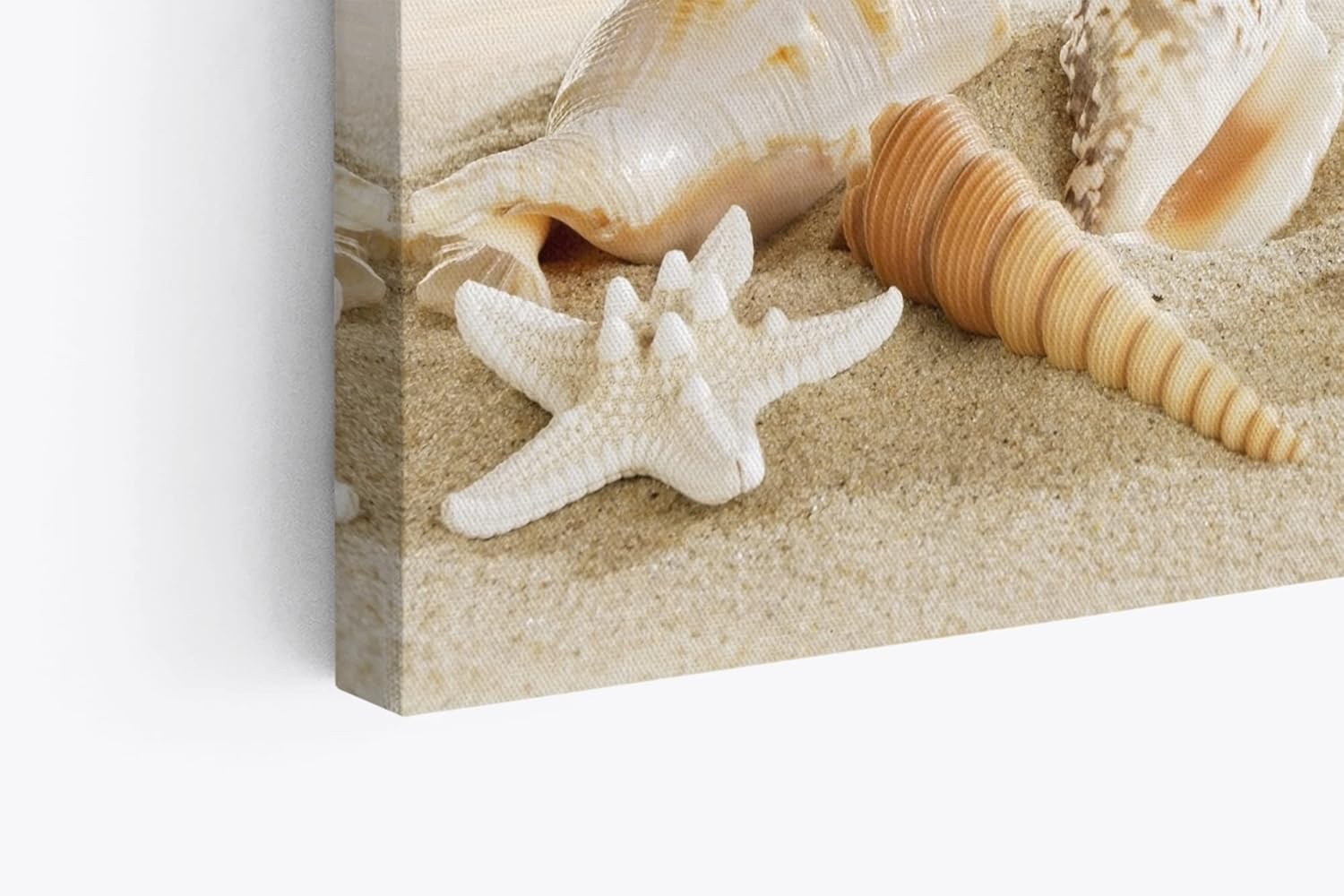 Paul Sinus Wandbild 120x80cm Meer Sandstrand Strand Seesterne Muscheln Sommer