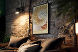 Paul Sinus Kunstdruck 40x60cm Divine Geometry – Nautilus-Muschel in harmonischer Spirale