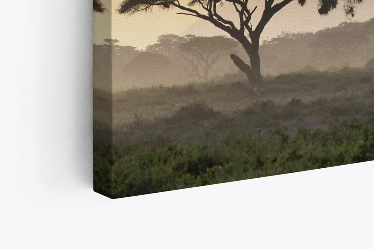 Paul Sinus Wandbild 120x80cm Afrika Mount Kenya Burkea Bäume Wildnis Abenddämmerung