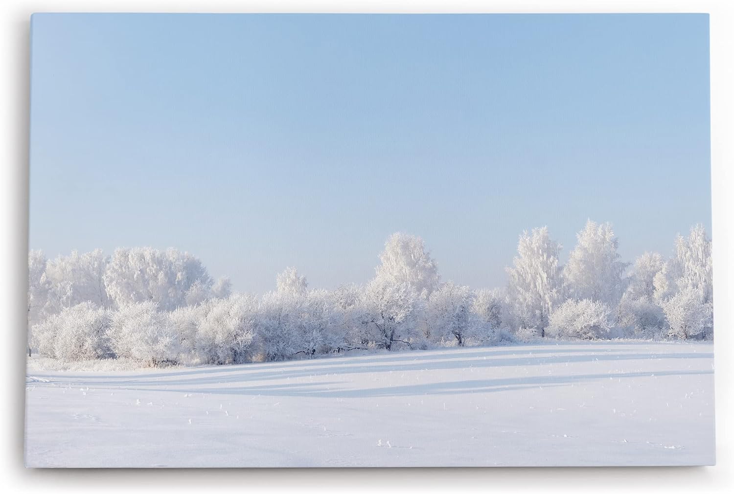 Paul Sinus Wandbild 120x80cm Schneelandschaft Schnee Bäume Weiß Winter