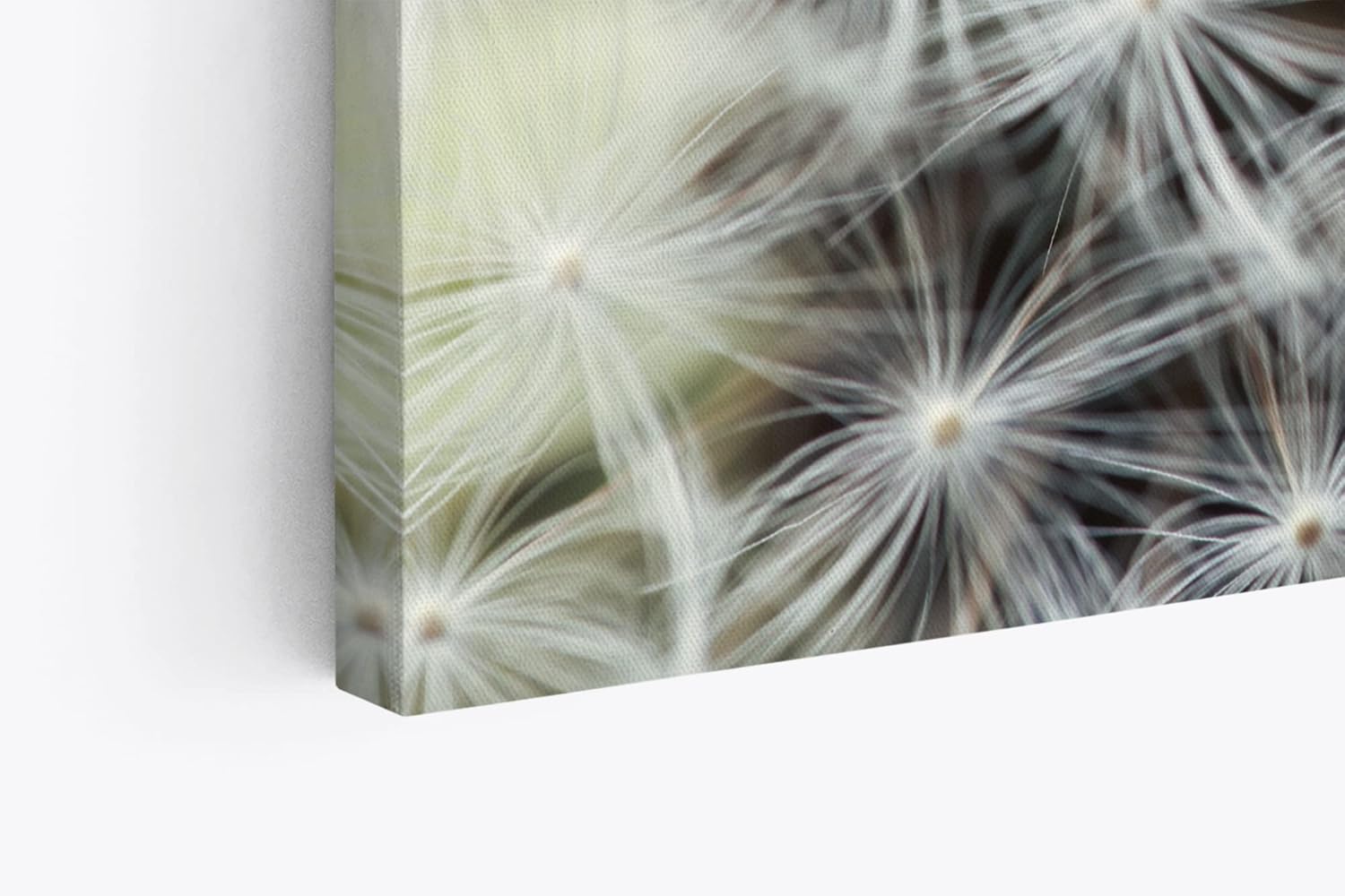 Paul Sinus Wandbild 120x80cm Nahaufnahme Pusteblume Fotokunst Weiß Löwenzahn