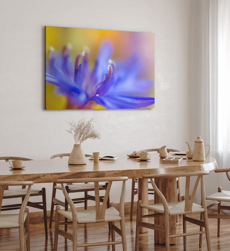 Paul Sinus Wandbild 120x80cm Blume Blüte Orchidee Nahaufnahme Makrofotografie