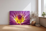 Sinus Art Wandbild 120x80cm Lotusblume in Violett mit leuchtendem Inneren – kraftvoll, symbolisch und beruhigend