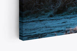 Paul Sinus Wandbild 120x80cm Hirsch Geweih Natur Morgentau Sonnenaufgang Natur