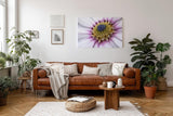 Sinus Art Wandbild 120x80cm Nahaufnahme mit faszinierendem Aufbau und intensiver Farbabstufung