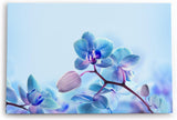 Paul Sinus Wandbild 120x80cm Blaue Orchidee Blüten Blume Kunstvoll Fotokunst