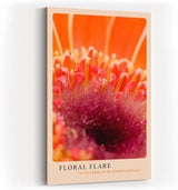 Paul Sinus Kunstdruck 40x60cm Blume Makro orange pink Nahaufnahme Detail Floral Flare