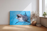 Sinus Art Wandbild 120x80cm Freundlicher Delfin in klarem Wasser – ein lebendiges und positives Motiv