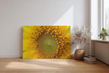 Sinus Art Wandbild 120x80cm Atemberaubendes Makromotiv einer Sonnenblume – intensiv, lebendig und ausdrucksstark
