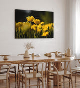 Paul Sinus Wandbild 120x80cm Gelbe Tulpen Blumen Blüten Fotokunst Sommer