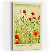 Paul Sinus Kunstdruck 40x60cm Sommer Mohnblumen Feld Blumenwiese Natur Licht Summer Bloom