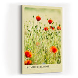 Paul Sinus Kunstdruck 40x60cm Sommer Mohnblumen Feld Blumenwiese Natur Licht Summer Bloom