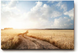Sinus Art Wandbild 120x80cm Der staubige Weg durch das goldene Feld vermittelt Freiheit, Ruhe und Sommererinnerung