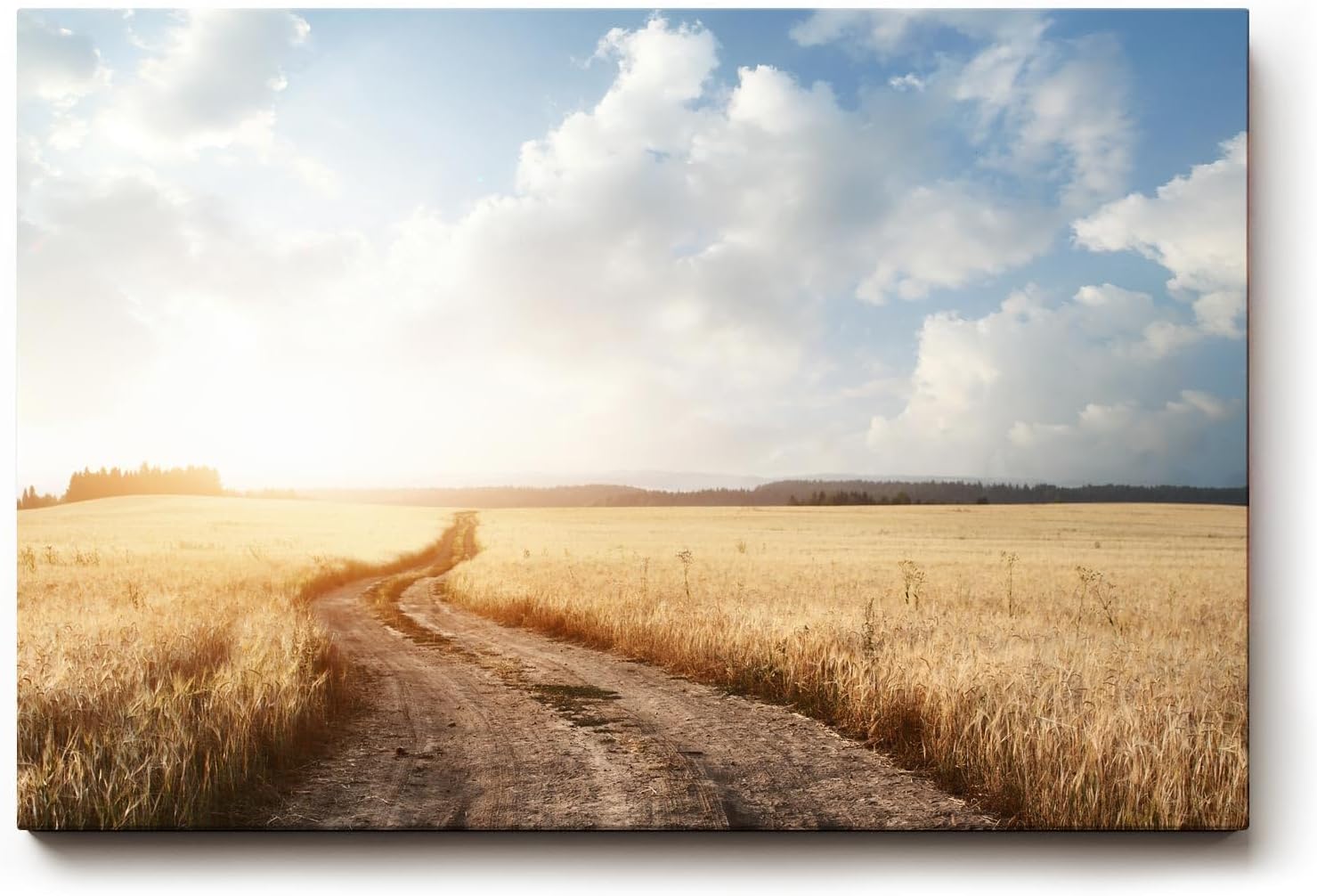 Sinus Art Wandbild 120x80cm Der staubige Weg durch das goldene Feld vermittelt Freiheit, Ruhe und Sommererinnerung