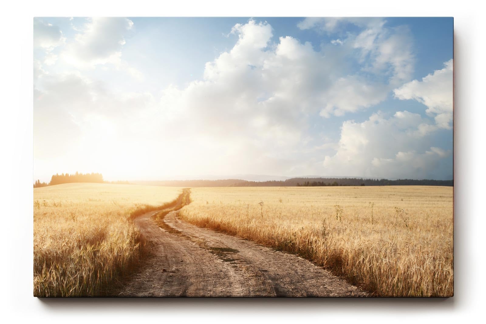Sinus Art Wandbild 120x80cm Der staubige Weg durch das goldene Feld vermittelt Freiheit, Ruhe und Sommererinnerung