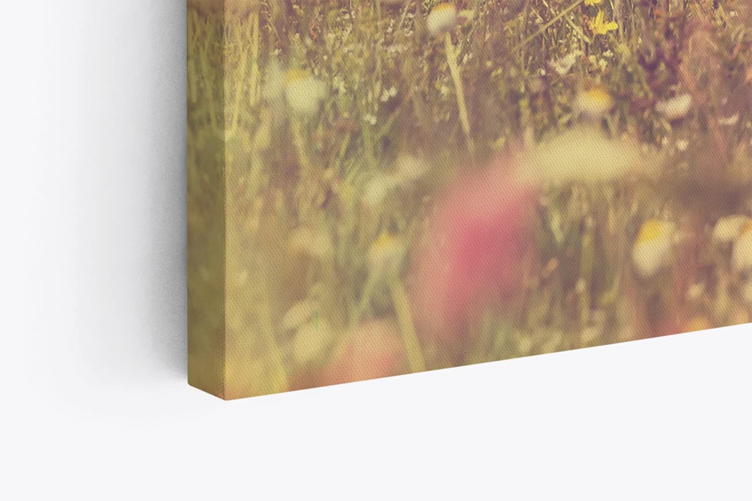 Paul Sinus Wandbild 120x80cm Wildblumen Feld Gänseblümchen Sommer Sonnenschein