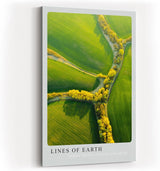 Paul Sinus Kunstdruck 40x60cm Lines of Earth mit Luftaufnahme von Feldern und gelben Baumlinien