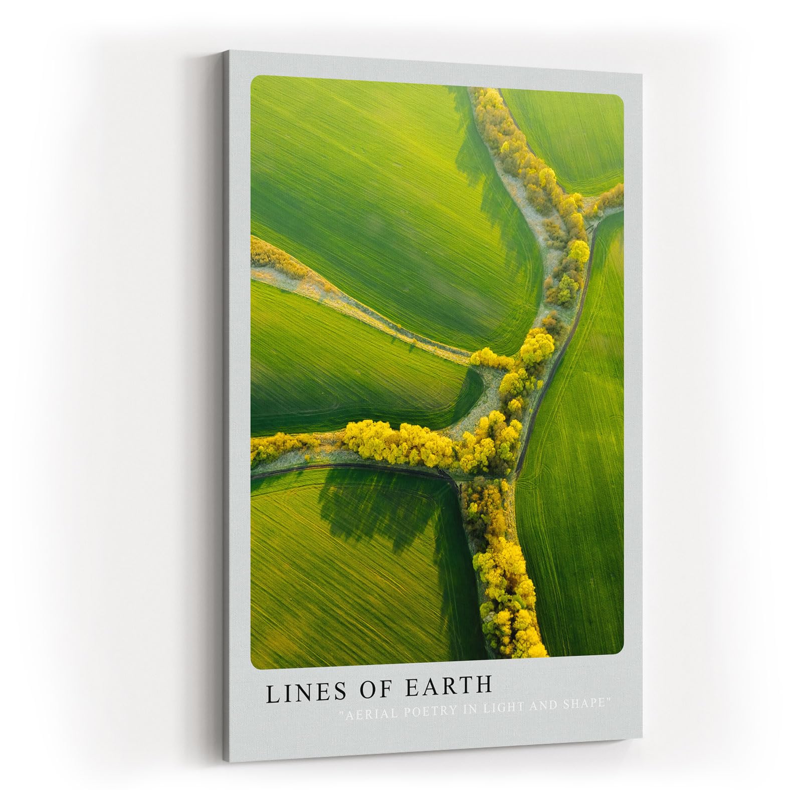 Paul Sinus Kunstdruck 40x60cm Lines of Earth mit Luftaufnahme von Feldern und gelben Baumlinien