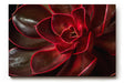 Sinus Art Wandbild 120x80cm Tiefe Rottöne mit natürlichem Glanz und faszinierender Formgebung der Blätter