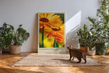 Paul Sinus Kunstdruck 40x60cm Calendula Bloom – leuchtend orange Ringelblumenblüte in Nahaufnahme