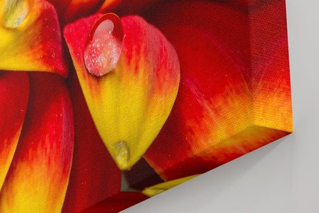 Sinus Art Wandbild 120x80cm Rote und gelbe Gerbera-Blüte mit Wassertropfen – ausdrucksstark, frisch und kraftvoll