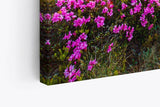 Paul Sinus Wandbild 120x80cm Alpen Berge Gebirge Bergwiese Wiese Natur Wildblumen
