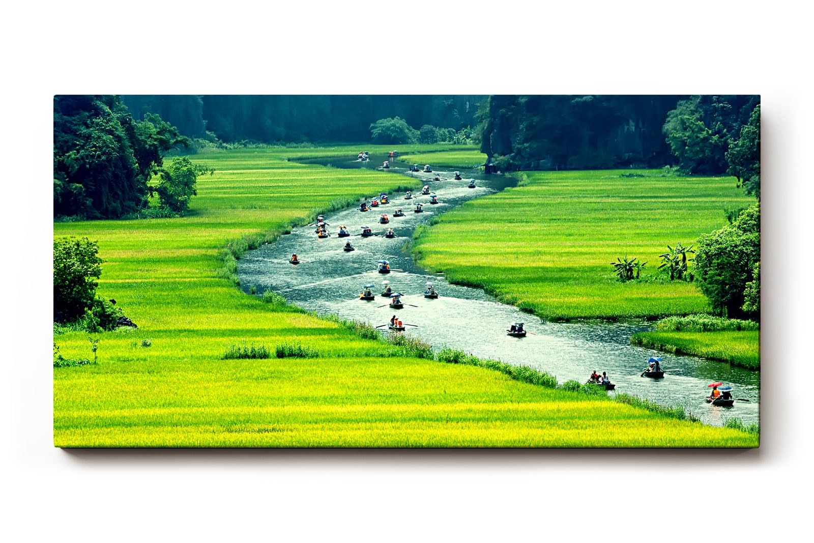 Sinus Art Wandbild 120x80cm Schmaler Fluss mit vielen Booten zwischen satten Reisfeldern in leuchtendem Grün