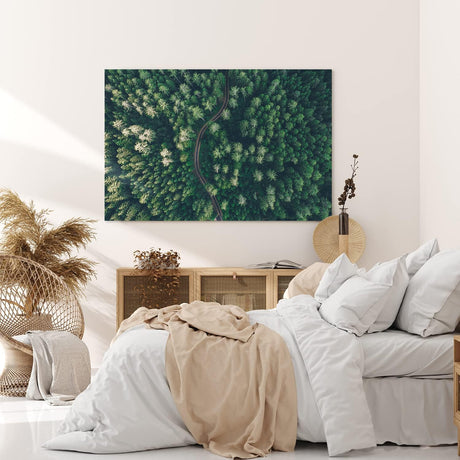 Paul Sinus Wandbild 120x80cm Wald aus der Vogelperspektive Tannenwald Waldstraße