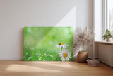 Sinus Art Wandbild 120x80cm Nahaufnahme mit Gänseblümchen und Marienkäfer auf unscharfem Frühlingshintergrund