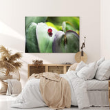 Paul Sinus Wandbild 120x80cm Makrofotografie Blume Blüte Blätter Nahaufnahme