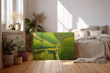 Sinus Art Wandbild 120x80cm Atemberaubende Luftaufnahme mit geometrisch verlaufenden Baumreihen auf sattem Grün
