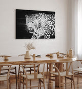 Paul Sinus Wandbild 120x80cm Jaguar Raubkatze Schwarz Weiß blaue Augen Tierfotografie