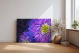 Sinus Art Wandbild 120x80cm Zwei Blüten in Nahaufnahme – detailreich und harmonisch miteinander verschmolzen