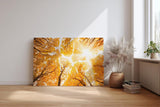 Sinus Art Wandbild 120x80cm Faszinierender Blick durch herbstlich gefärbte Baumwipfel in warmem Licht