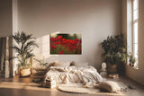 Sinus Art Wandbild 120x80cm Leuchtend rote Mohnblumen im weichen Licht – symbolstark, lebendig und zeitlos