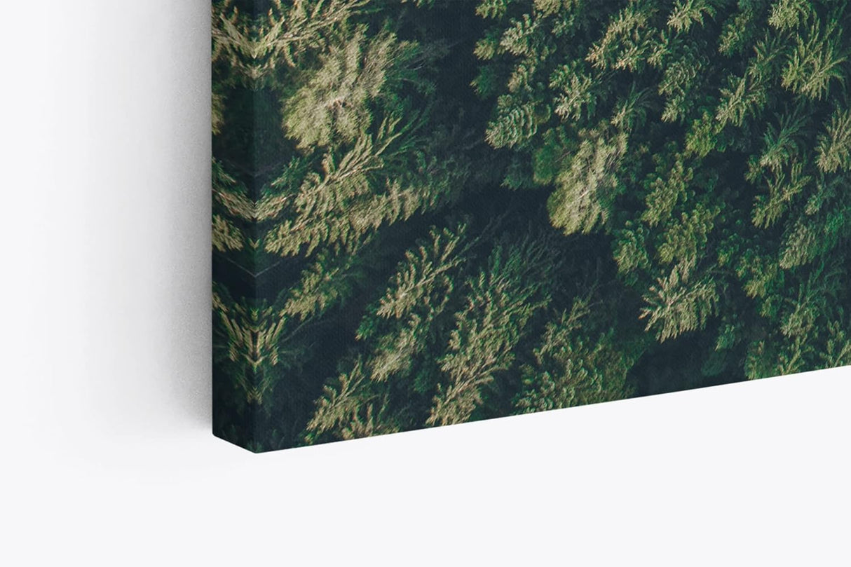 Paul Sinus Wandbild 120x80cm Wald aus der Vogelperspektive Tannenwald Waldstraße