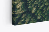 Paul Sinus Wandbild 120x80cm Wald aus der Vogelperspektive Tannenwald Waldstraße
