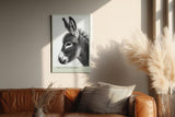 Paul Sinus Wandbild in 40x60cm The Little Donkey Nahaufnahme eines Esels in Schwarz-Weiß mit feiner Detailzeichnung
