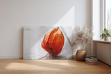 Sinus Art Wandbild 120x80cm Ruhiges Naturmotiv mit physalisähnlicher Blüte auf rustikalem Holzuntergrund
