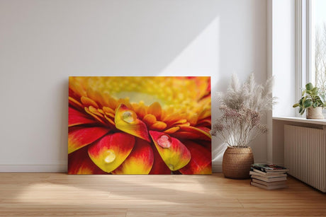 Sinus Art Wandbild 120x80cm Rote und gelbe Gerbera-Blüte mit Wassertropfen – ausdrucksstark, frisch und kraftvoll