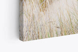 Paul Sinus Wandbild 120x80cm Ostsee Strand Sandstrand Meer blauer Himmel Sommer