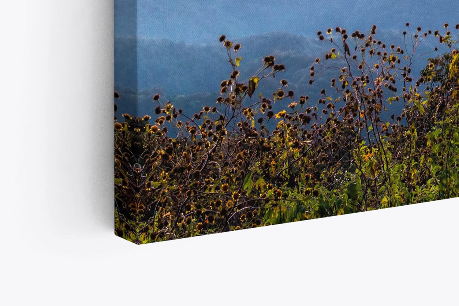 Paul Sinus Wandbild 120x80cm Heißluftballons über Berge Berglandschaft Himmel Sonnenuntergang