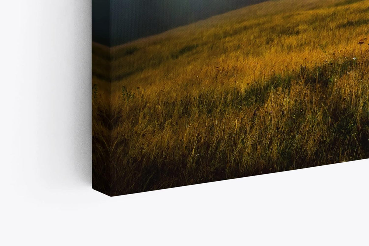 Paul Sinus Wandbild 120x80cm Alpen Nebel Berge Wolken Landschaft Wiese