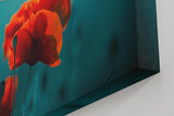 Sinus Art Wandbild 120x80cm Mohnblumen in intensivem Rot auf türkisblauem Hintergrund – modern, kraftvoll, reduziert