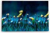 Paul Sinus Wandbild 120x80cm Blumen Blumenfeld Wildblumen gelbe Blüten Kunstvoll